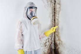 Best Attic Mold Removal  in Lancaster, TX